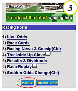 Hong Kong’s Online Sports Betting Options